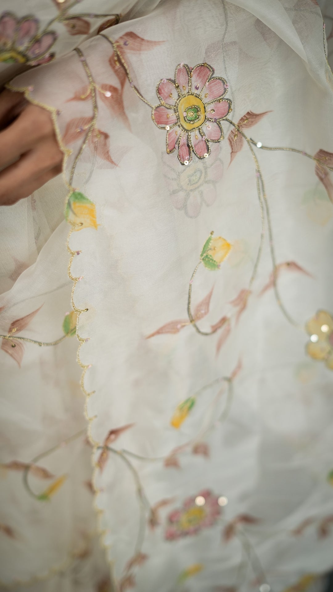 Shahana Embroidered Saree on Ivory Pure Silk Organza