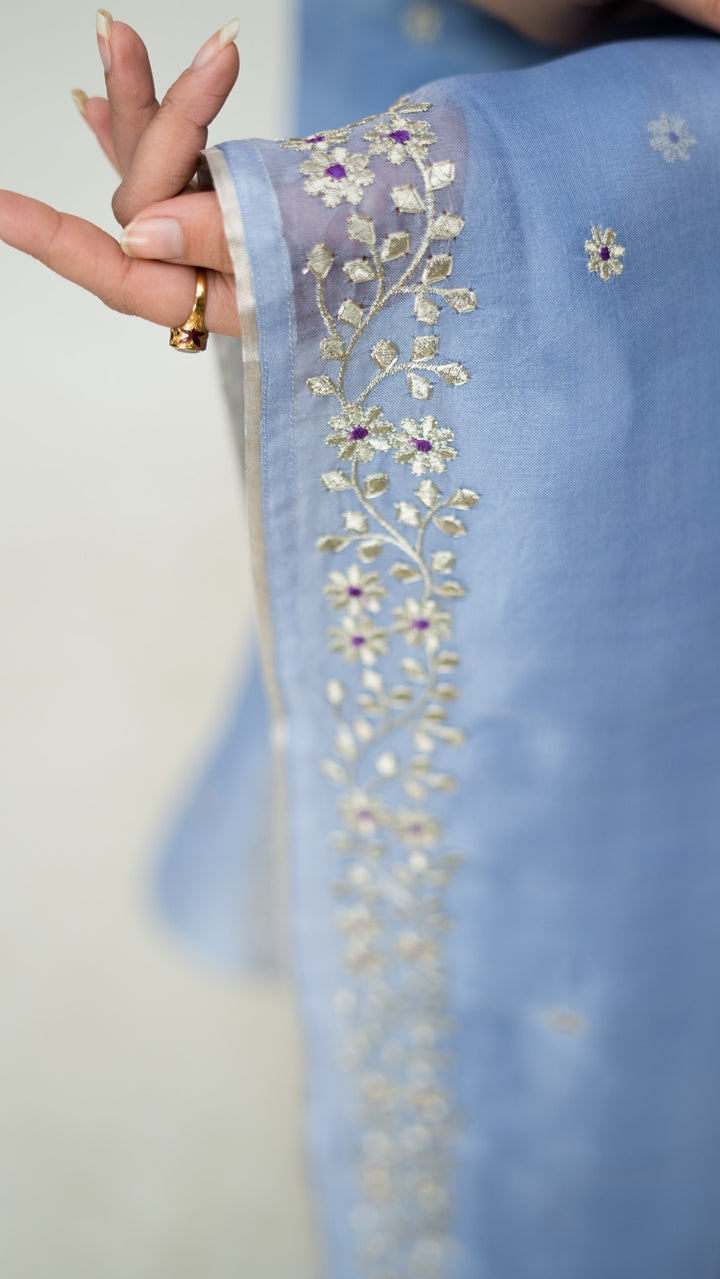 Vashti Embroidered Saree on Sky Blue Pure Silk Organza