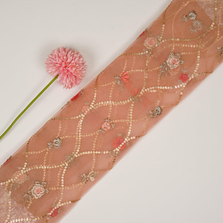 Rosha Jaal On Peach Semi Organza