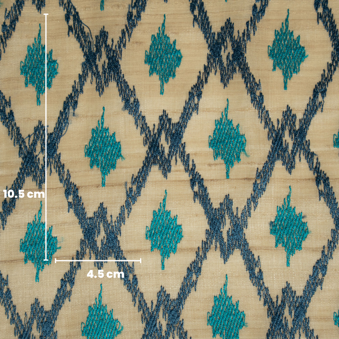 Manal Jaal on Natural/Blue Tussar Silk