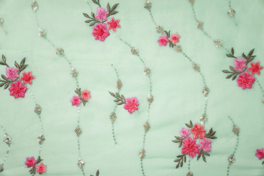 Purvai Floral Jaal on Aqua Silk Organza