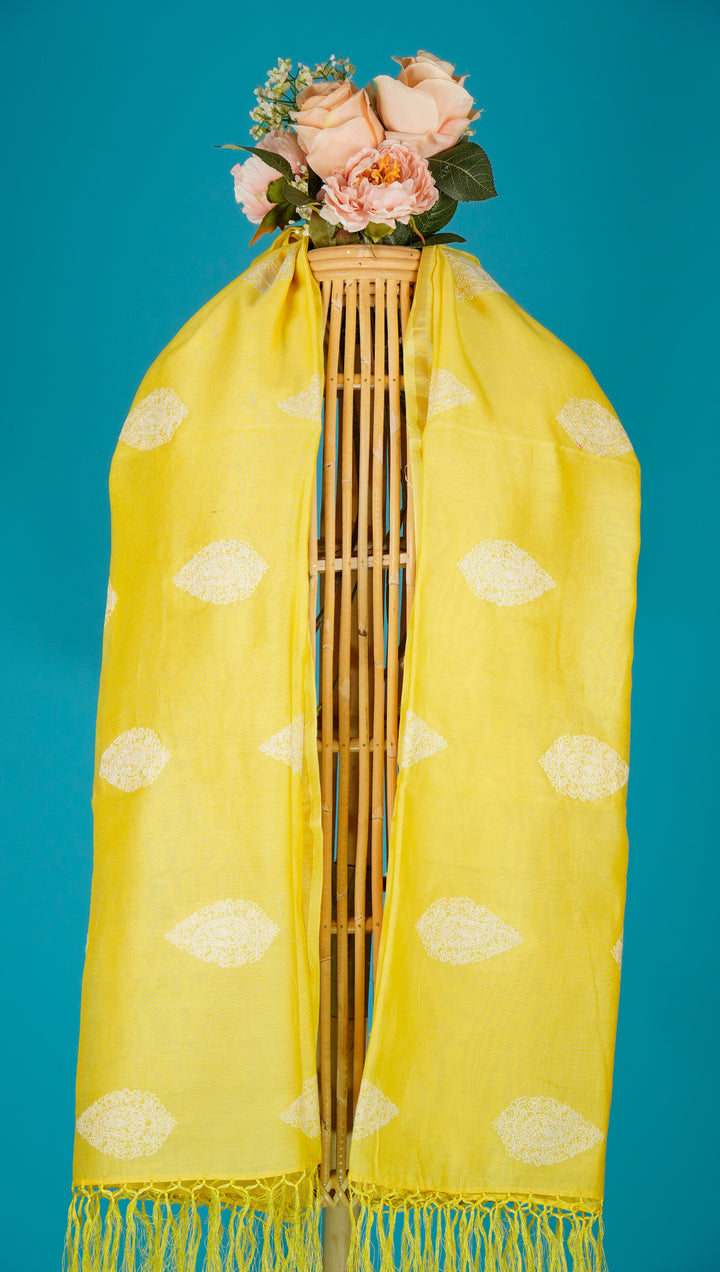 Risha Embroidered Dupatta on Lemon Silk Chanderi
