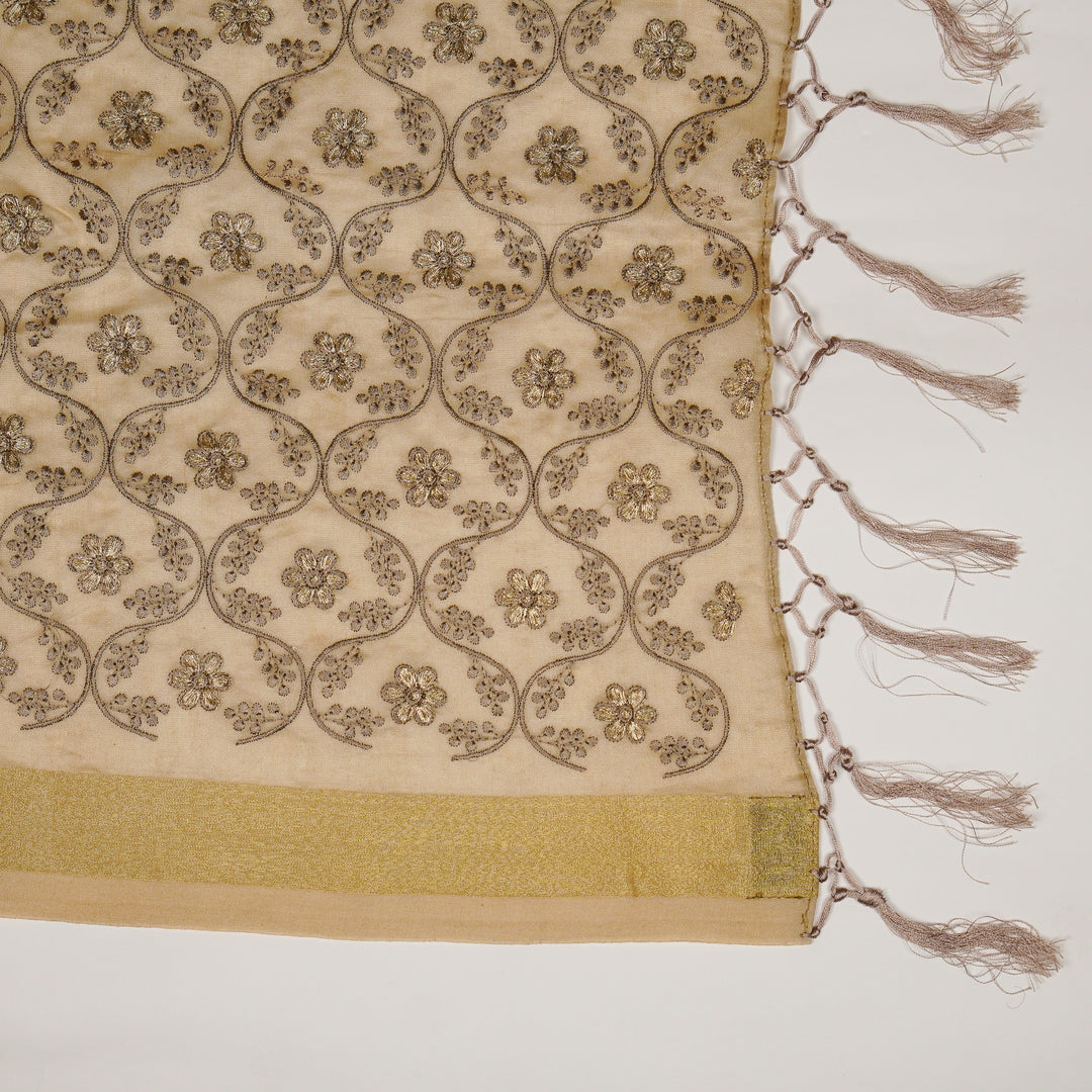 Sejal Embroidered Dupatta On Chiku Silk Chanderi-Zarinama