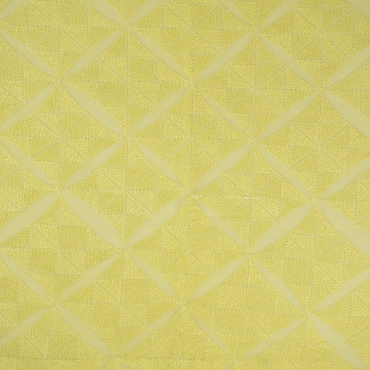 Anjana Geometric Jaal on Lemon  Semi Georgette Embroidered Fabric